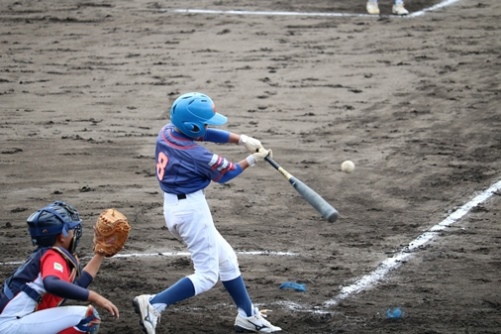 第53回南部地区少年野球交流会大会：2017年1月15日(日)