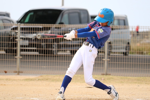 南部交流大会：2018年1月6日、13日