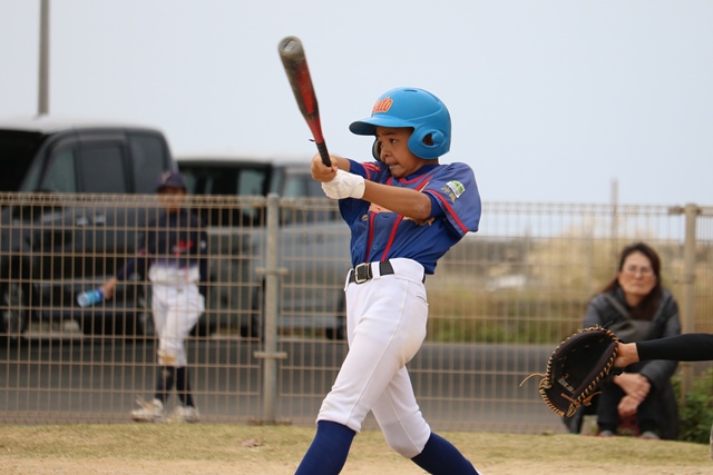 南部交流大会：2018年1月6日、13日