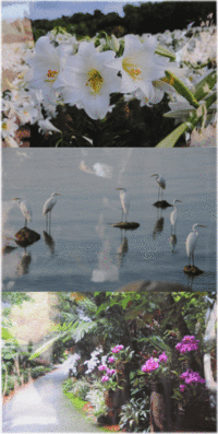 再び写真展（沖縄市役所ロービー・・）