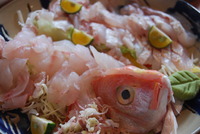 なび塾　魚お料理