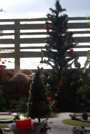 プリザでクリスマスツリー
