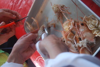 Chef’s　Cooking　3月16日