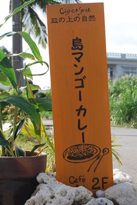 きとね市　準備終了