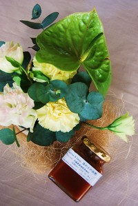 ５月講習会とイベント