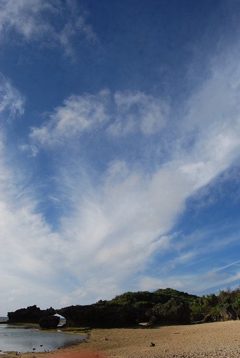 長かった。。。