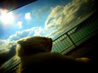 ＋お天気がいいので・・・。其の参＋ 2012/07/03 23:12:00