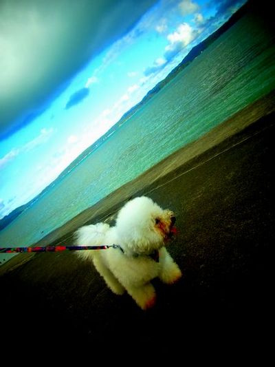 ＋お天気がいいので・・・。其の四＋