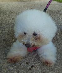 ＋近くの海で貝殻拾いの巻・・・。＋ 2012/07/24 16:41:12