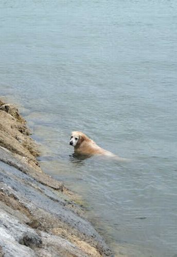 ＋窓から見える海de散歩＋