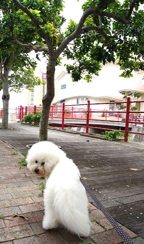 ＋AMERICAN　VILLAGE　No.1＋