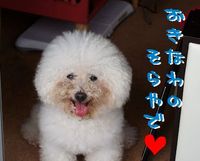 ＋あの日あの時の沖縄の空＋