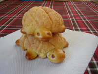 カメのメロンパン。