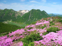 山歩きツアーご案内 2009/05/03 18:29:46