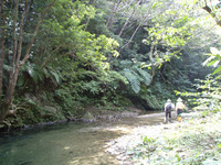 川遊びは露出控えて！ 2010/10/21 21:25:12