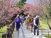 やんばる山歩き・バスツアー 2010/01/04 19:05:45