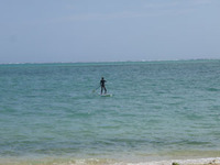 海で散歩。 2010/02/26 12:08:51
