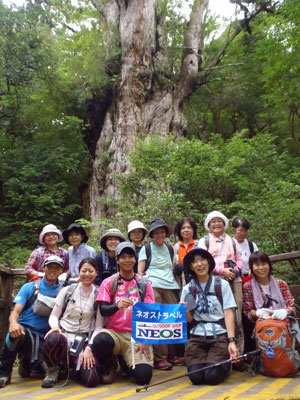 屋久島のレポートです
