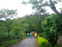エンチュの耳。 2010/06/01 12:08:27