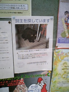 飼主を探しています　№１