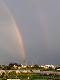 キレイな・・・ 2009/06/20 14:58:00