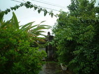 まさに梅雨 2005/06/03 17:32:22
