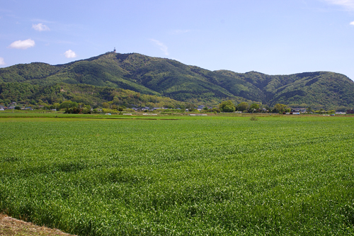 つくば市の風景