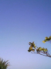 海中道路 2006/03/11 01:45:00