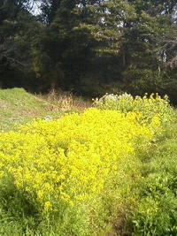 バタン♪Ю―(^O^ )　ただいまーーー 2006/04/07 01:02:00