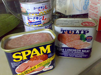 ナーベラーは「SPAM」だと思った。