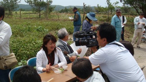 大宜味村でのソバの試食会