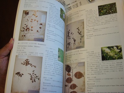 立花塾が開催されました。　第28回