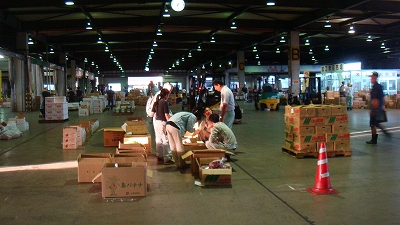 沖縄県中央卸売市場に行ってきました。