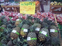 やんばるはいさい市です。