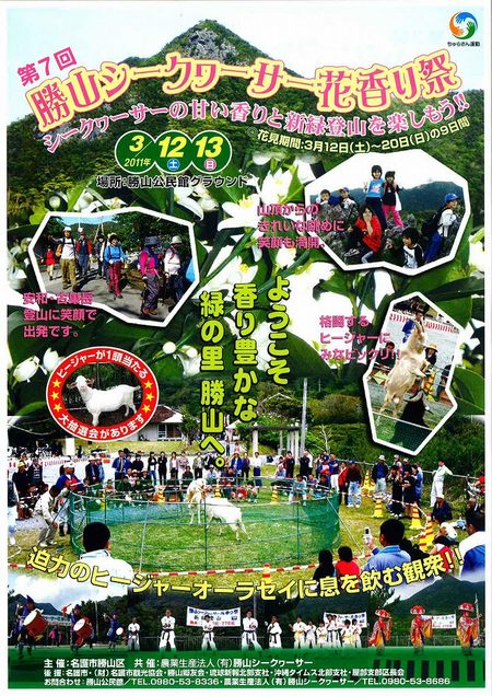 第7回勝山シークヮーサー花香りが開催されています。