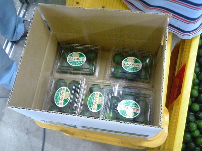 青切り果実出荷準備