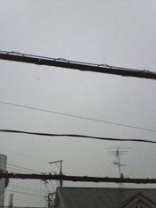 雪 2009/02/27 11:44:03