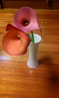 1,000円計画 2010/12/06 23:56:00