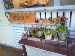 ｏｔａｍａ