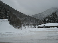 母娘旅行　２日目 ① 2011/01/29 12:20:00