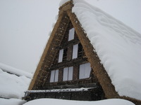 母娘旅行　２日目 ② 2011/01/29 20:20:00