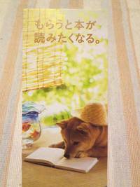 息抜き 2012/06/20 08:24:00