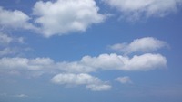 家族の肖像？ 2011/06/04 10:38:11