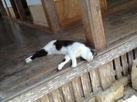 首里石畳の散歩
