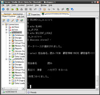 SSJE 6.1 を日本語環境で... 2007/05/10 00:06:00