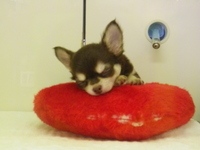 癒されちゃってくださいな☆ 2012/10/04 19:21:02