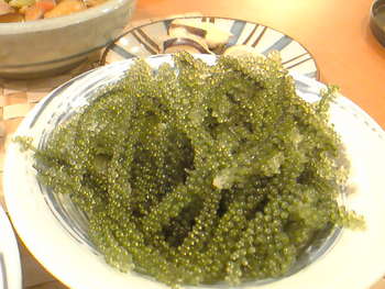 野菜尽くし献立の夕飯