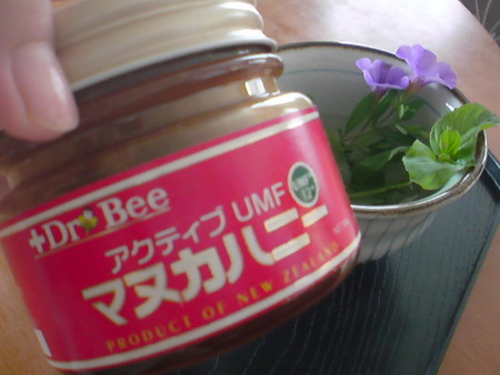 喉にいいというハチミツです。