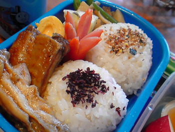 たんかん狩りのお弁当。
