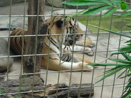 動物園も楽しみました♪